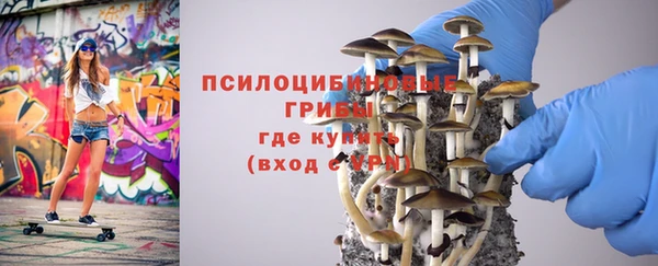 прущие крисы Абинск