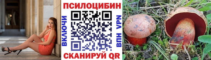 кракен ONION  Каргополь  Псилоцибиновые грибы Psilocybine cubensis 